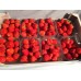 Erdbeeren 500gramm (TASSE)